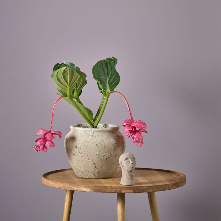 Loev flower pot, 灰色 - medium Villa Collection